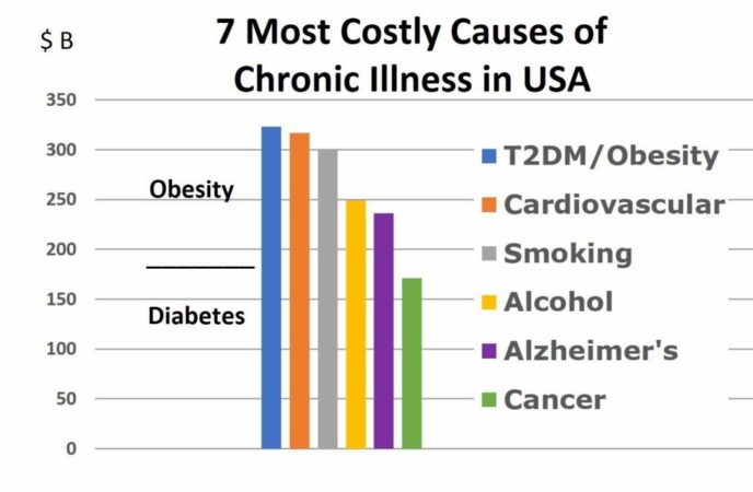 figure showing a chart 7 most costly causes of chronic illness in usa