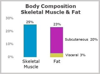 Body composition Skeletal Muscle and fat Diabetes Risk Alert