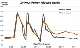 24-Hour Pattern Glucose Levels by diabetesriskalert