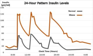 24-Hour Pattern Insulin Levels by diabetesriskalert