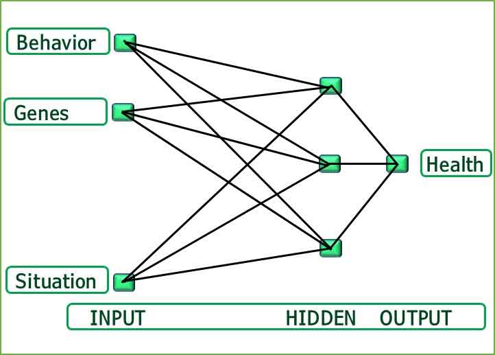 Neural-Network-Motivate-