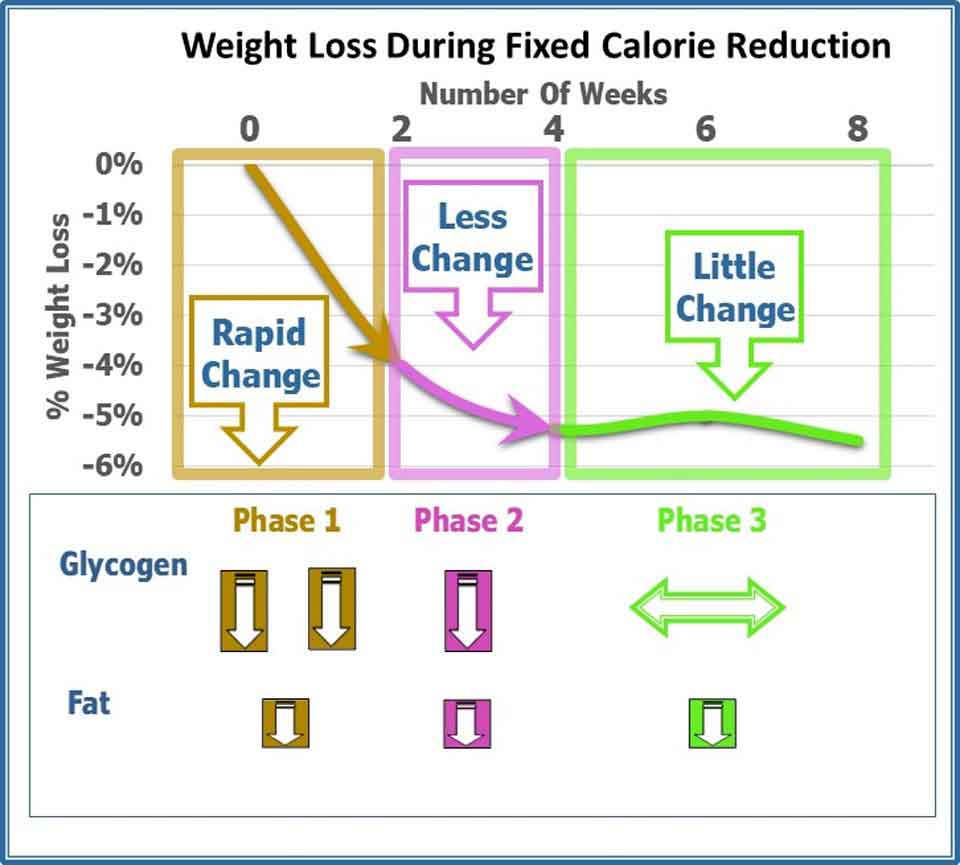 Weight-Loss-During-Fixed-calorie