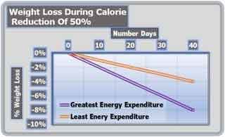 Weight-Loss-during-Calorie-Reduction-Of-50%