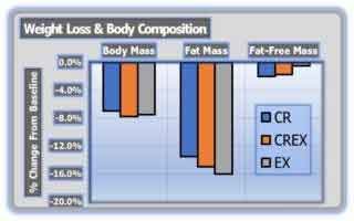 Weight-loss-and-Body-Composition