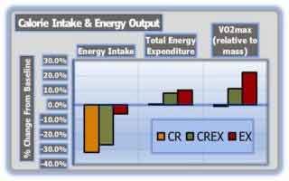 Calorie Intake and Energy Output Chart