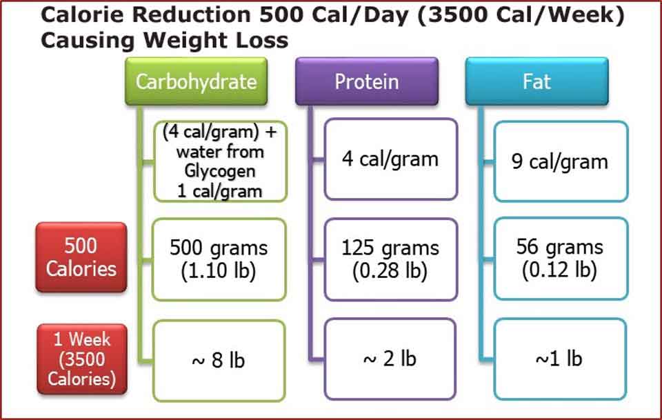 How to reduce Calorie