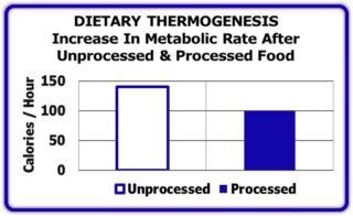 Diet Thermogenesis