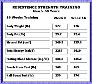 Resistance strength training system