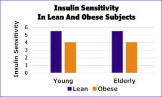 Insulin sensitivity in lean and obese subjects