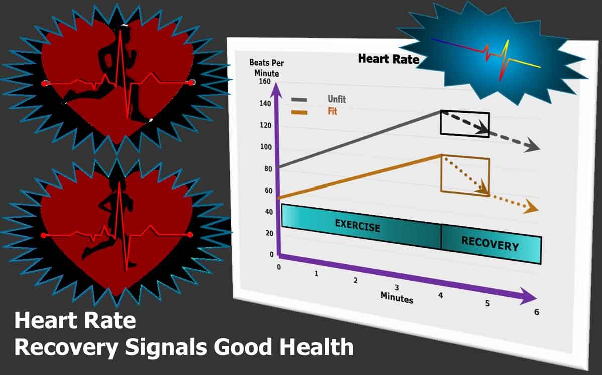 Diabetes-Reversal-And-Improved-Heart-Rate-Responses-1200x748.jpg