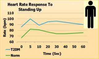 Figure shows that how heart rate response to standing up