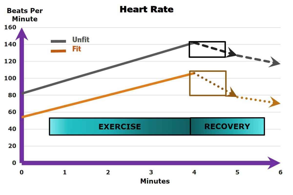 Figure shows that how poor health affects Heart Rate during exercise and recovery from exercise 