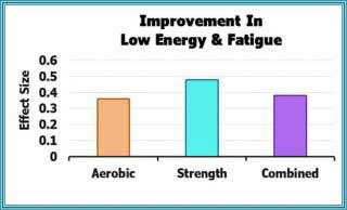 Improvement In Low Energy & Fatigue