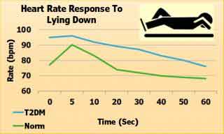 The first Figure shows how heart rate responses decreased upon lying down 