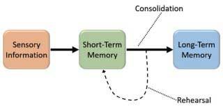 memory figure