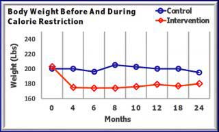 body-weight-before-and-during-calorie-restriction