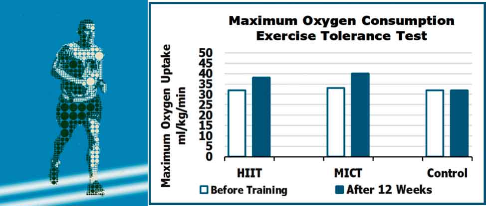 Maximum Oxygen Consumption Chart Brief Interval Exercise