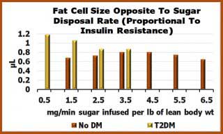 Picture showing Fat Cell Size Chart