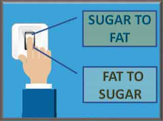 figure showing Sugar-To-Fat_Fat-To-Sugar conversion