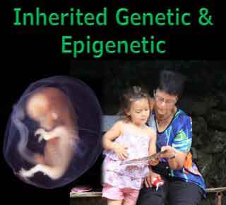 Genetic Epigenetic