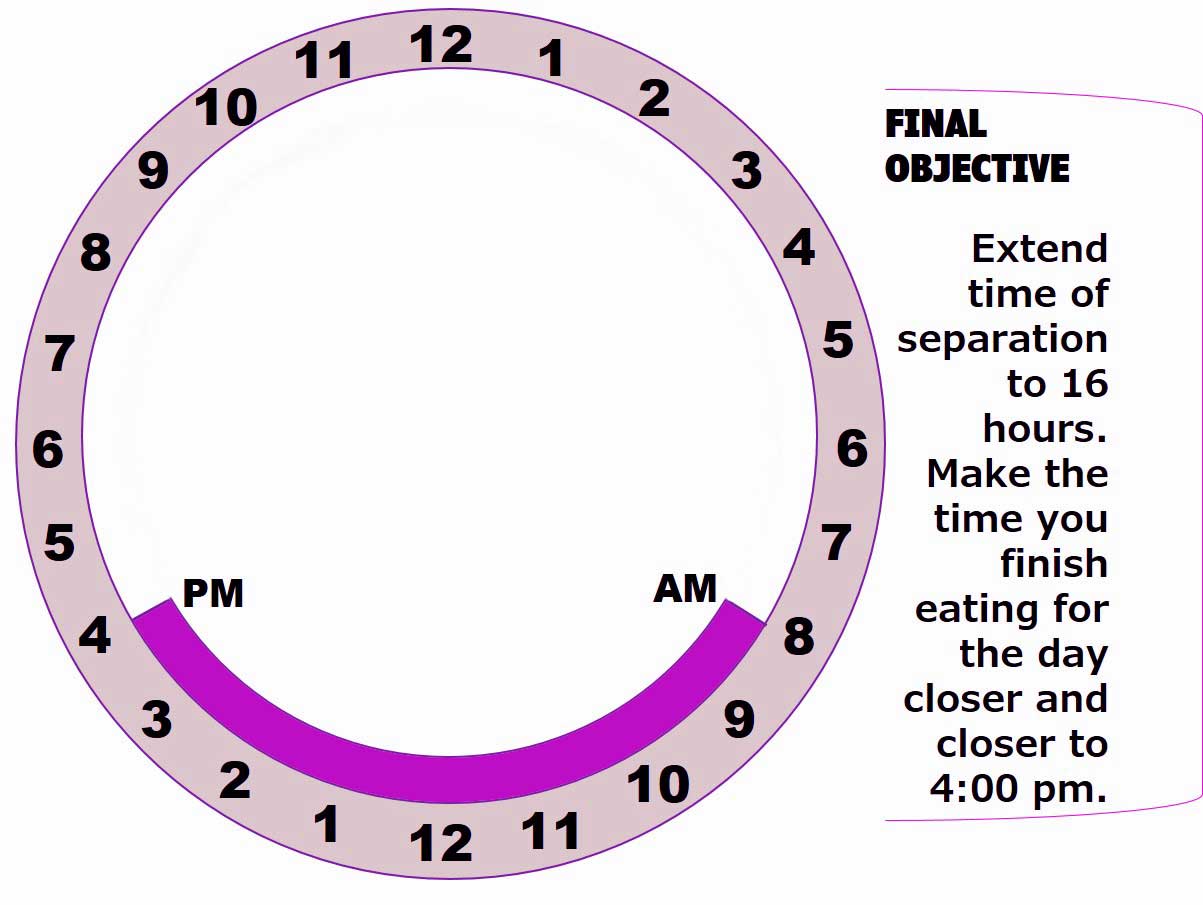 Time-restricted Meal Plan 8 to 4