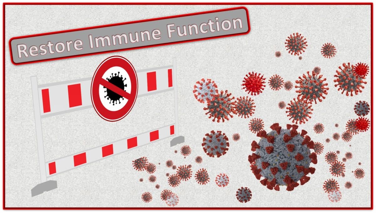 Restore-Immune-Function_COVER-1200x681.jpg