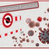 How to Restore Immune Function