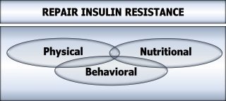 repair insulin resistance