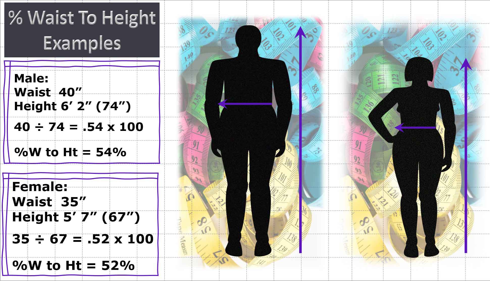 % waist to height examples