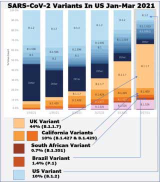 SARS-CoV-2--Variantsin-US